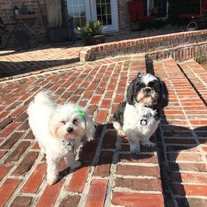 Meet your Posher, Rachael